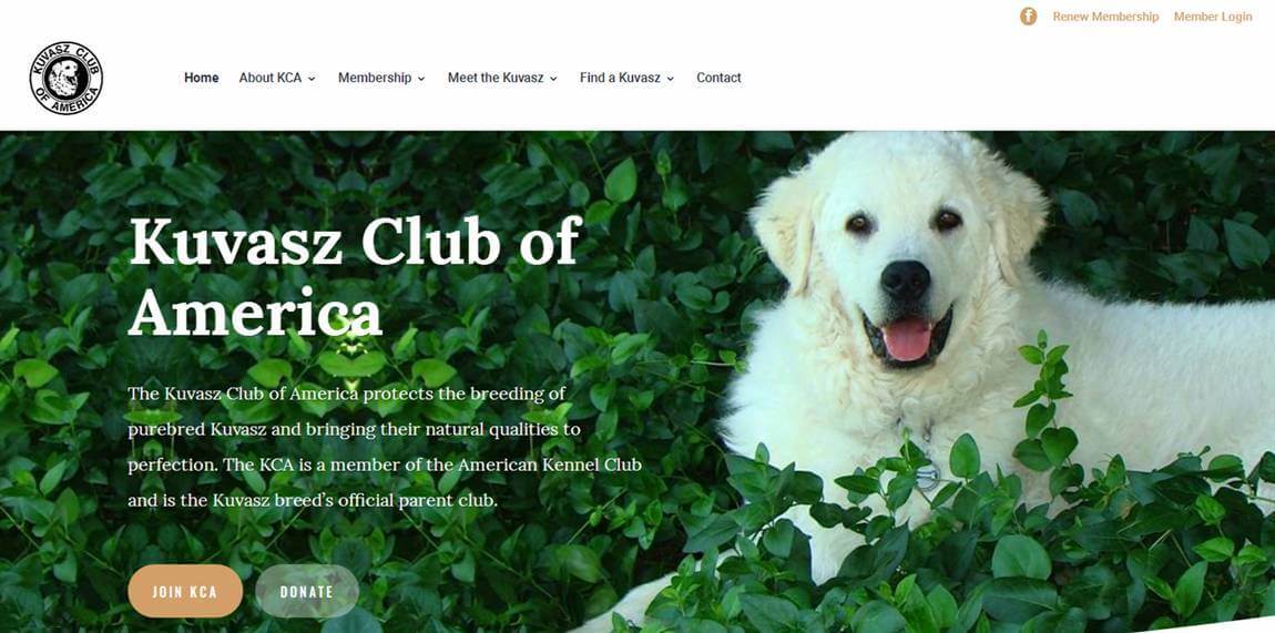 Kuvasz Club of America